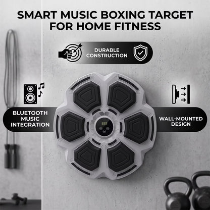 Music Boxing Machine Bluetooth Wall Mounted Smart Boxing Training Punching Equipment with Gloves for Adults Home Indoor Gym